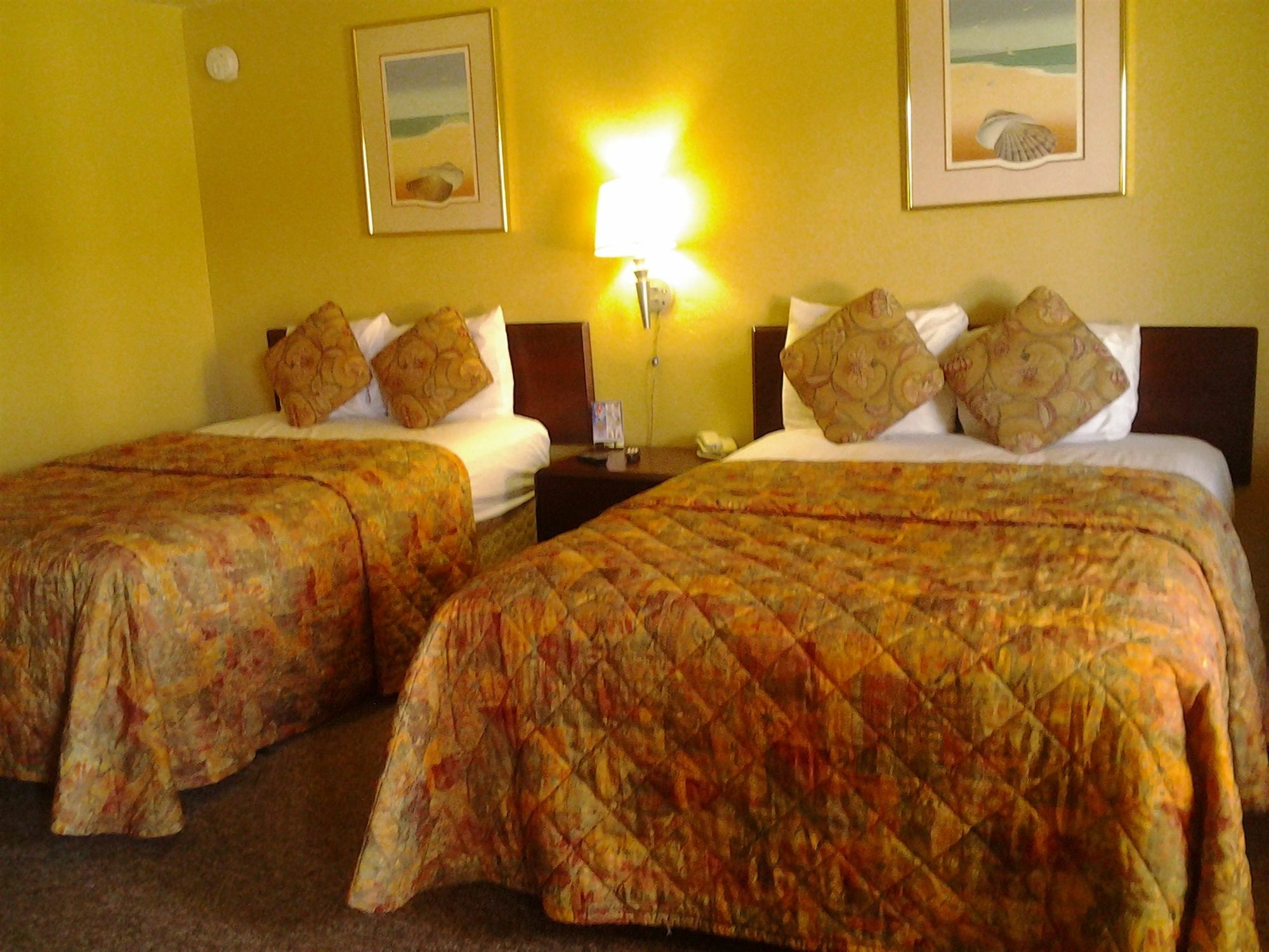 Budget Lodge Mount Dora Eksteriør bilde